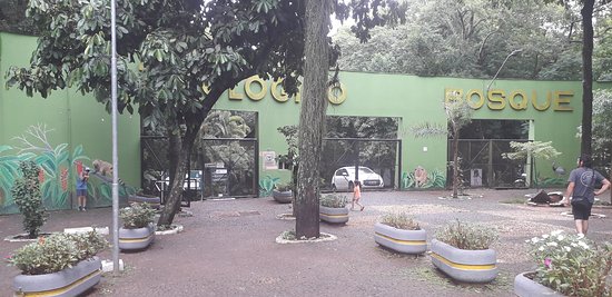 https://mdw-travel-data-us-east-1.s3.amazonaws.com/img/country/Brazil/Bosque-Guarani-Zoo/img_01.jpg