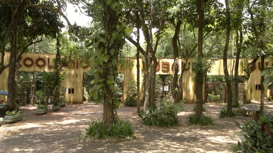 https://mdw-travel-data-us-east-1.s3.amazonaws.com/img/country/Brazil/Bosque-Guarani-Zoo/img_03.jpg