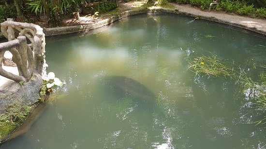 https://mdw-travel-data-us-east-1.s3.amazonaws.com/img/country/Brazil/Bosque-Rodrigues-Alves/img_01.jpg