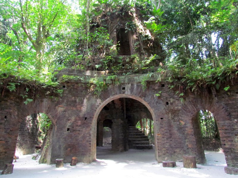 https://mdw-travel-data-us-east-1.s3.amazonaws.com/img/country/Brazil/Bosque-Rodrigues-Alves/img_02.jpg