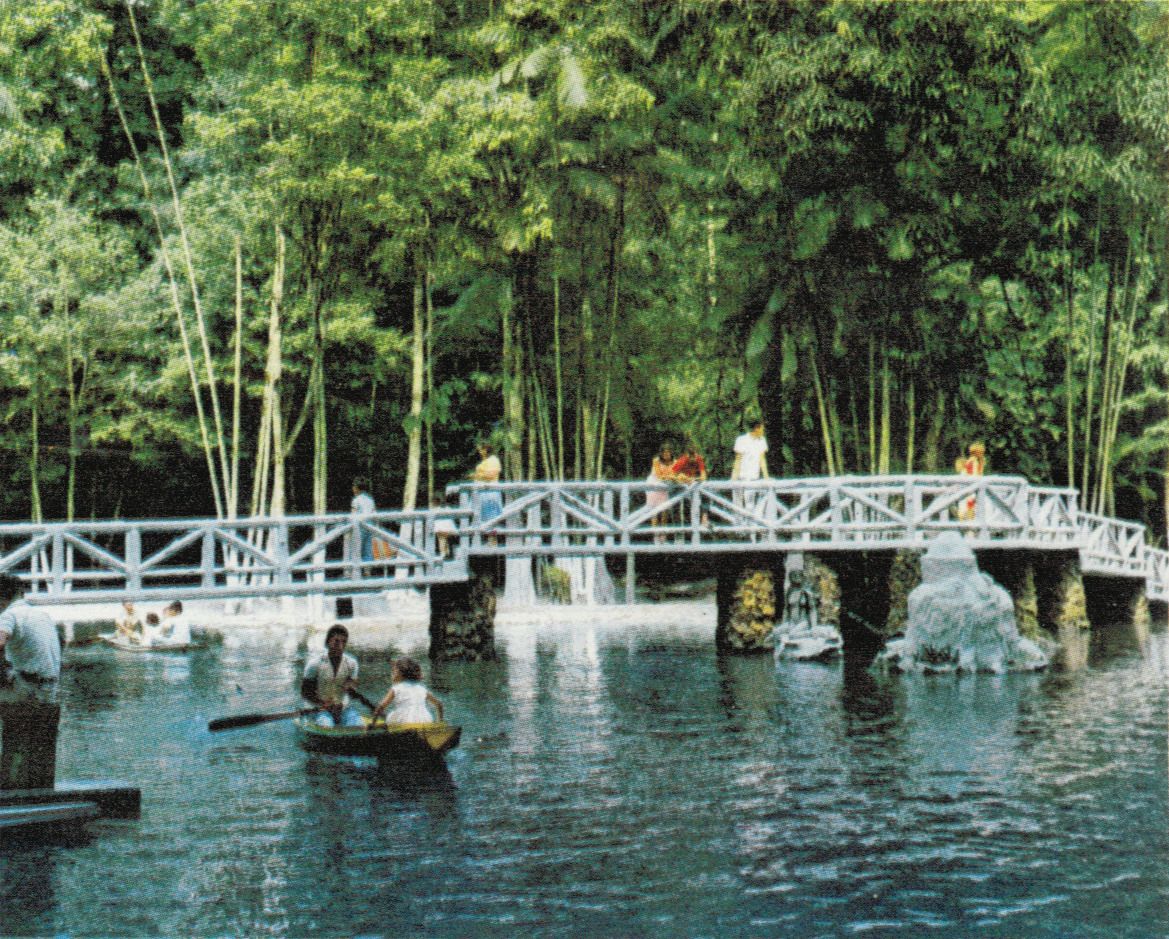 https://mdw-travel-data-us-east-1.s3.amazonaws.com/img/country/Brazil/Bosque-Rodrigues-Alves/img_03.jpg