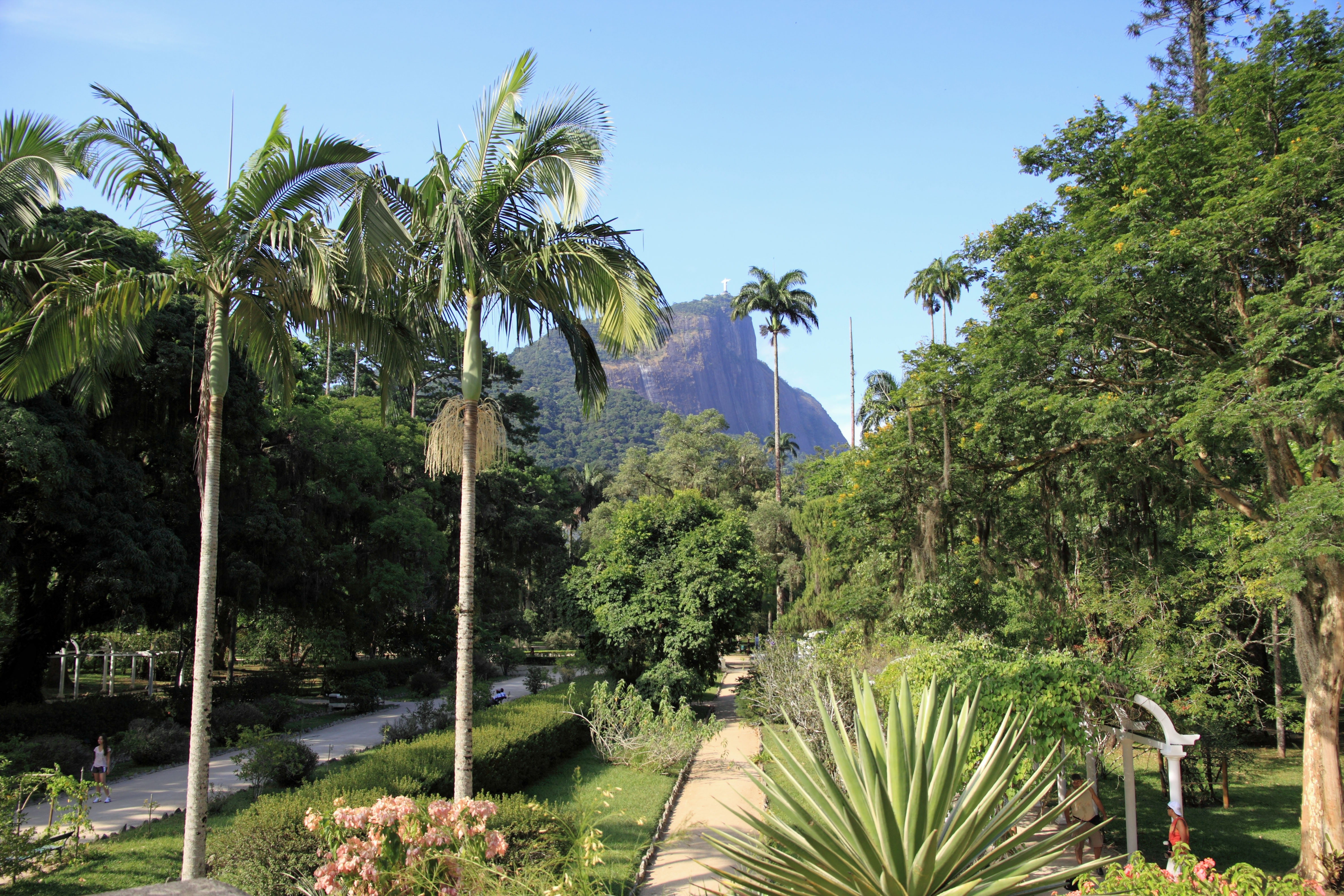 https://mdw-travel-data-us-east-1.s3.amazonaws.com/img/country/Brazil/Botanical-Garden-of-Rio-de-Janeiro/img_02.jpg