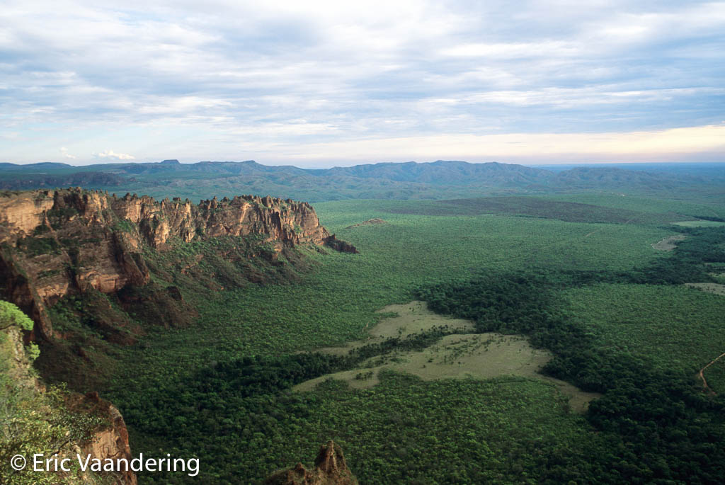 https://mdw-travel-data-us-east-1.s3.amazonaws.com/img/country/Brazil/Chapada-dos-Guimaraes-National-Park/img_02.jpg
