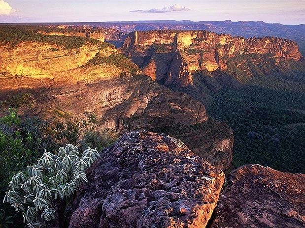 https://mdw-travel-data-us-east-1.s3.amazonaws.com/img/country/Brazil/Chapada-dos-Guimaraes-National-Park/img_03.jpg