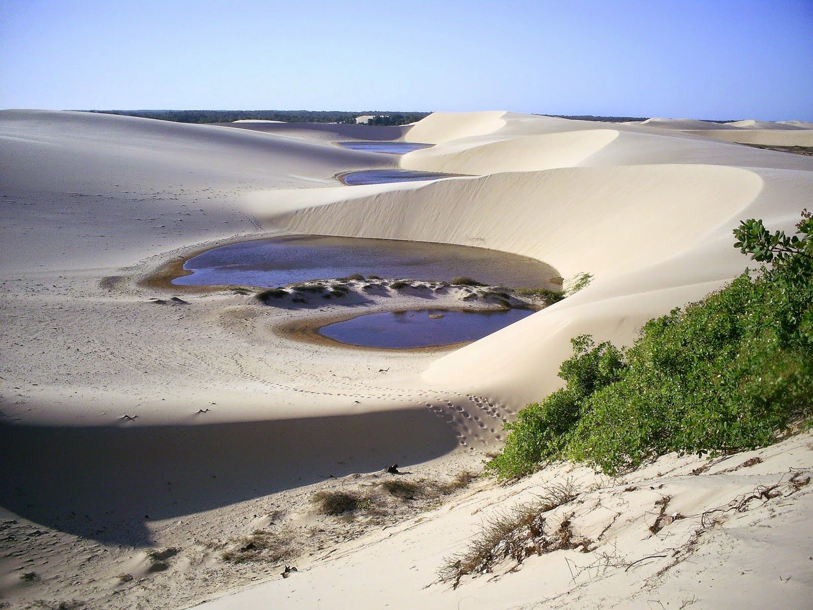 https://mdw-travel-data-us-east-1.s3.amazonaws.com/img/country/Brazil/Delta-do-Parnaiba/img_01.jpg