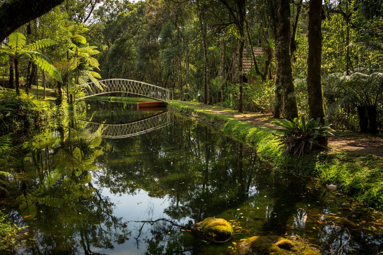 https://mdw-travel-data-us-east-1.s3.amazonaws.com/img/country/Brazil/Eco-tourism-in-Monte-Verde/img_03.jpg