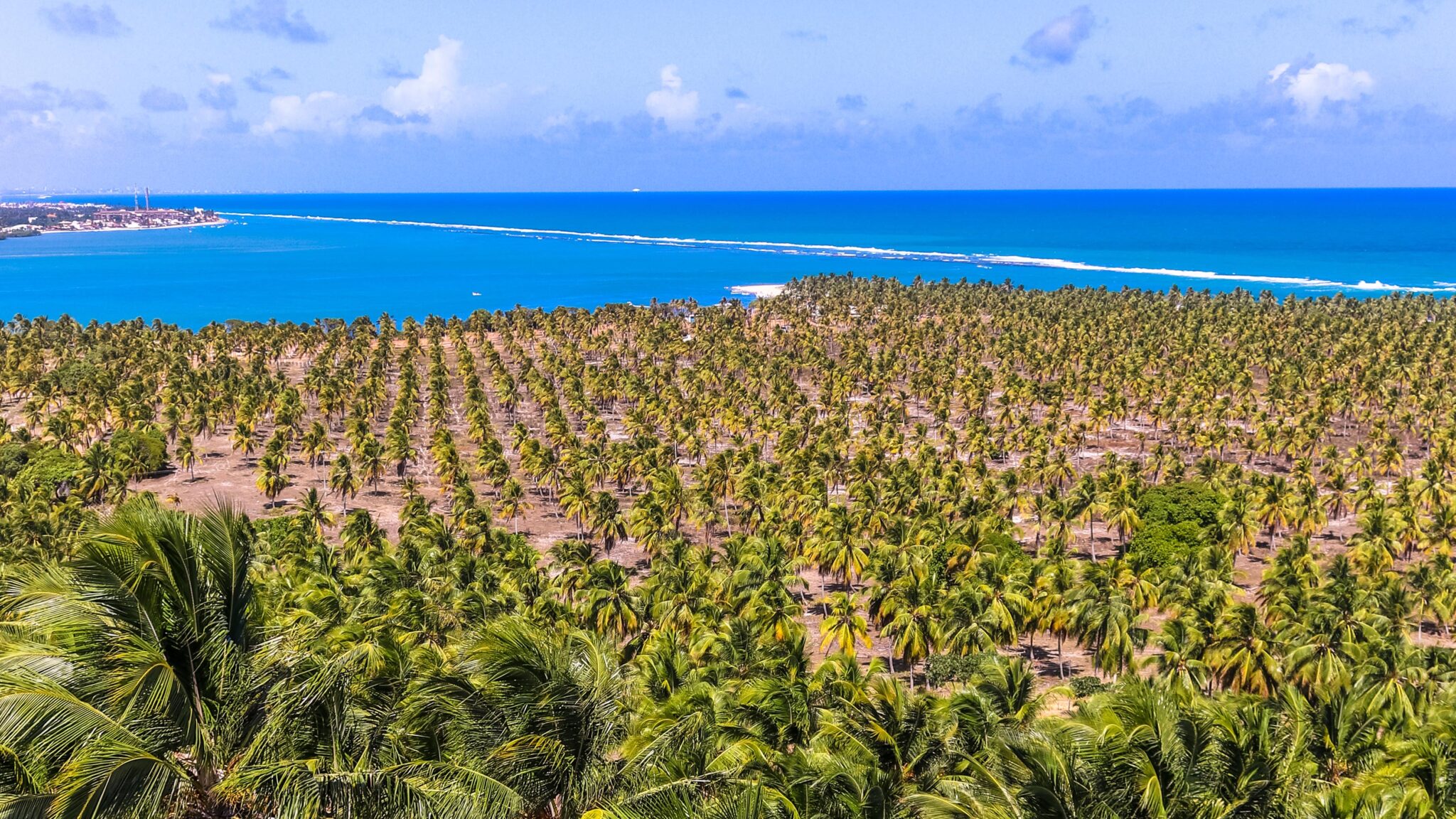 https://mdw-travel-data-us-east-1.s3.amazonaws.com/img/country/Brazil/Gunga-Beach/img_03.jpg