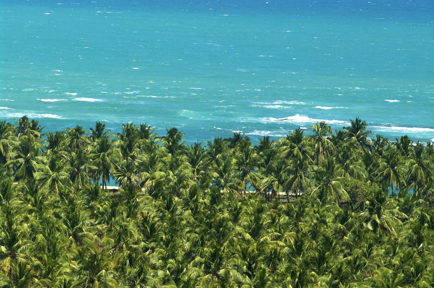 https://mdw-travel-data-us-east-1.s3.amazonaws.com/img/country/Brazil/Gunga-Beach/img_05.jpg