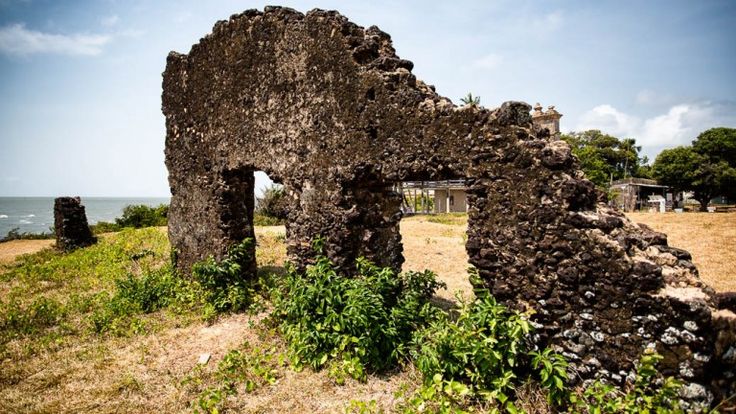 https://mdw-travel-data-us-east-1.s3.amazonaws.com/img/country/Brazil/Ilha-de-Marajo/img_02.jpg