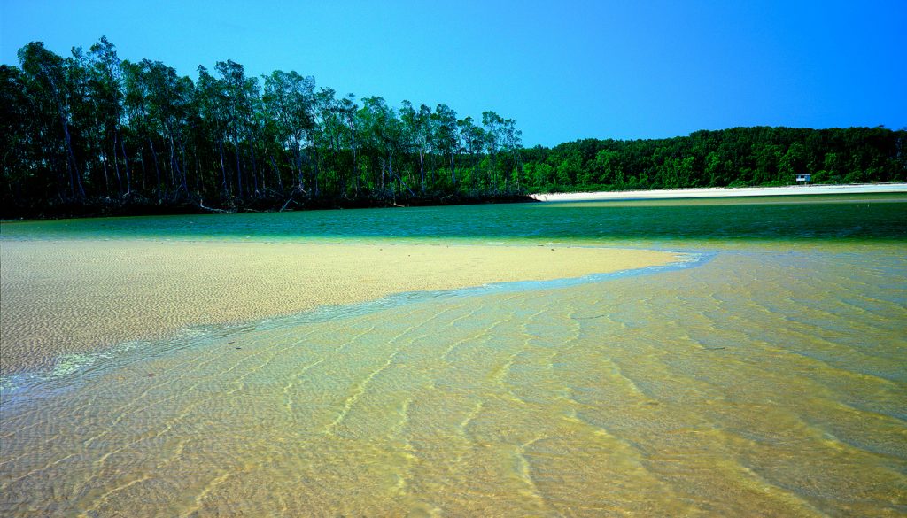 https://mdw-travel-data-us-east-1.s3.amazonaws.com/img/country/Brazil/Ilha-de-Marajo/img_04.jpg