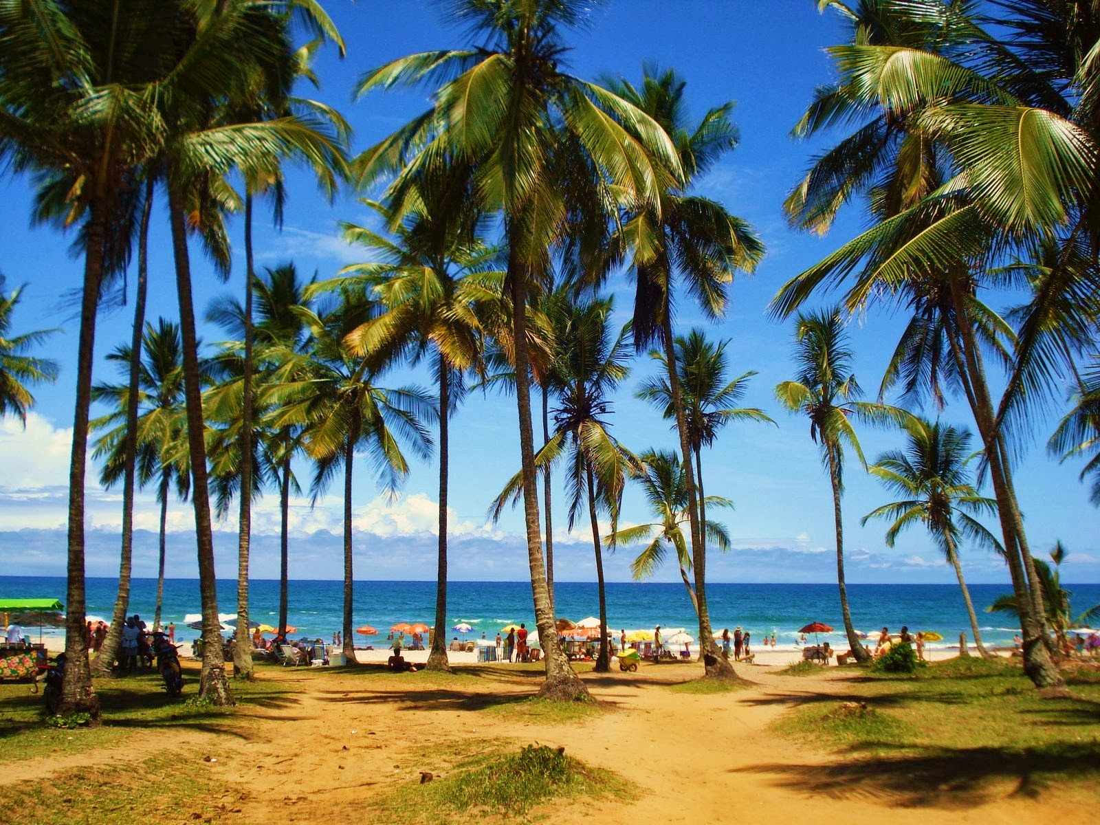 https://mdw-travel-data-us-east-1.s3.amazonaws.com/img/country/Brazil/Itacare/img_03.jpg