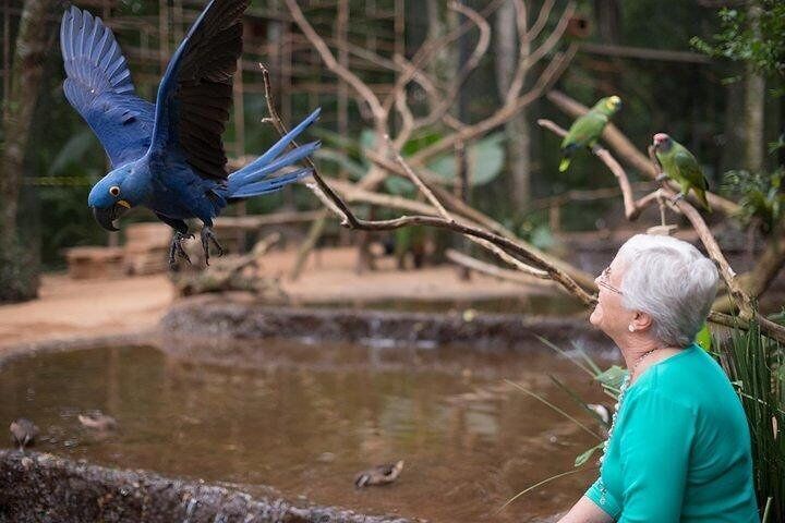 https://mdw-travel-data-us-east-1.s3.amazonaws.com/img/country/Brazil/Itaipu-Bird-Park/img_01.jpg