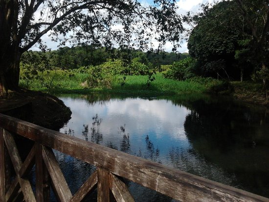 https://mdw-travel-data-us-east-1.s3.amazonaws.com/img/country/Brazil/Jardim-Botanico-Benjamin-Maranhao/img_00.jpg