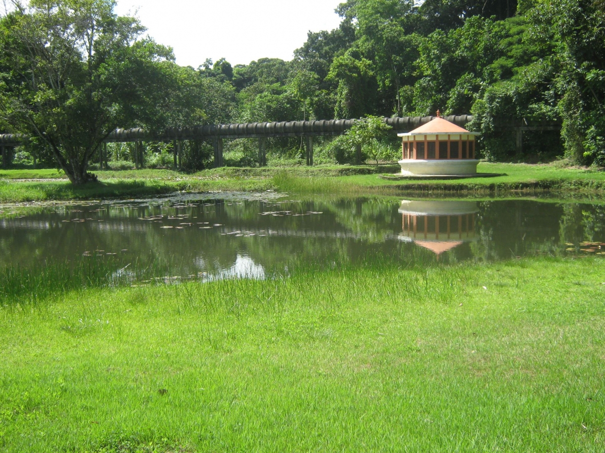 https://mdw-travel-data-us-east-1.s3.amazonaws.com/img/country/Brazil/Jardim-Botanico-Benjamin-Maranhao/img_03.jpg