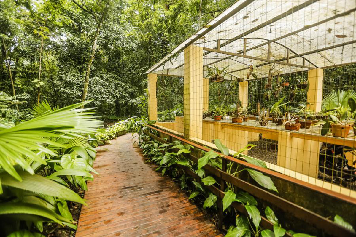 https://mdw-travel-data-us-east-1.s3.amazonaws.com/img/country/Brazil/Jardim-Botanico-do-Recife/img_00.jpg
