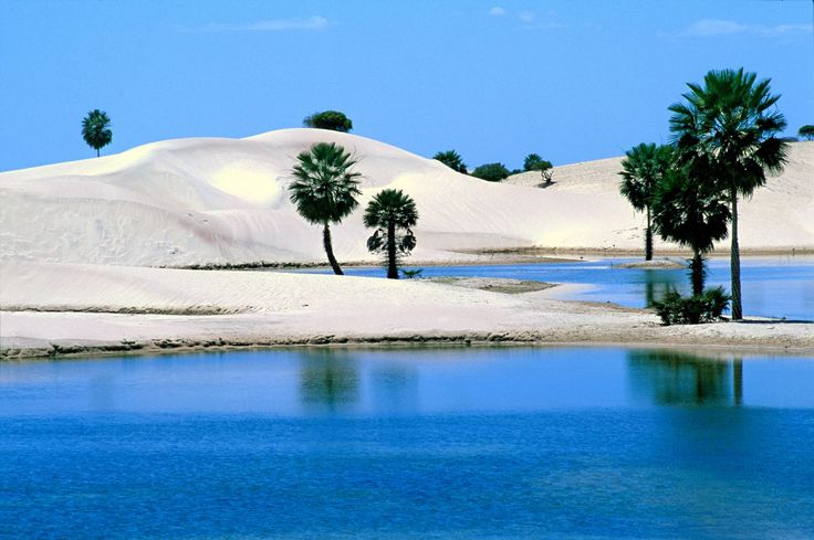 https://mdw-travel-data-us-east-1.s3.amazonaws.com/img/country/Brazil/Jericoacoara/img_01.jpg