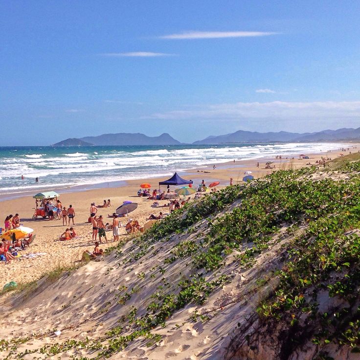 https://mdw-travel-data-us-east-1.s3.amazonaws.com/img/country/Brazil/Joaquina-Beach/img_01.jpg