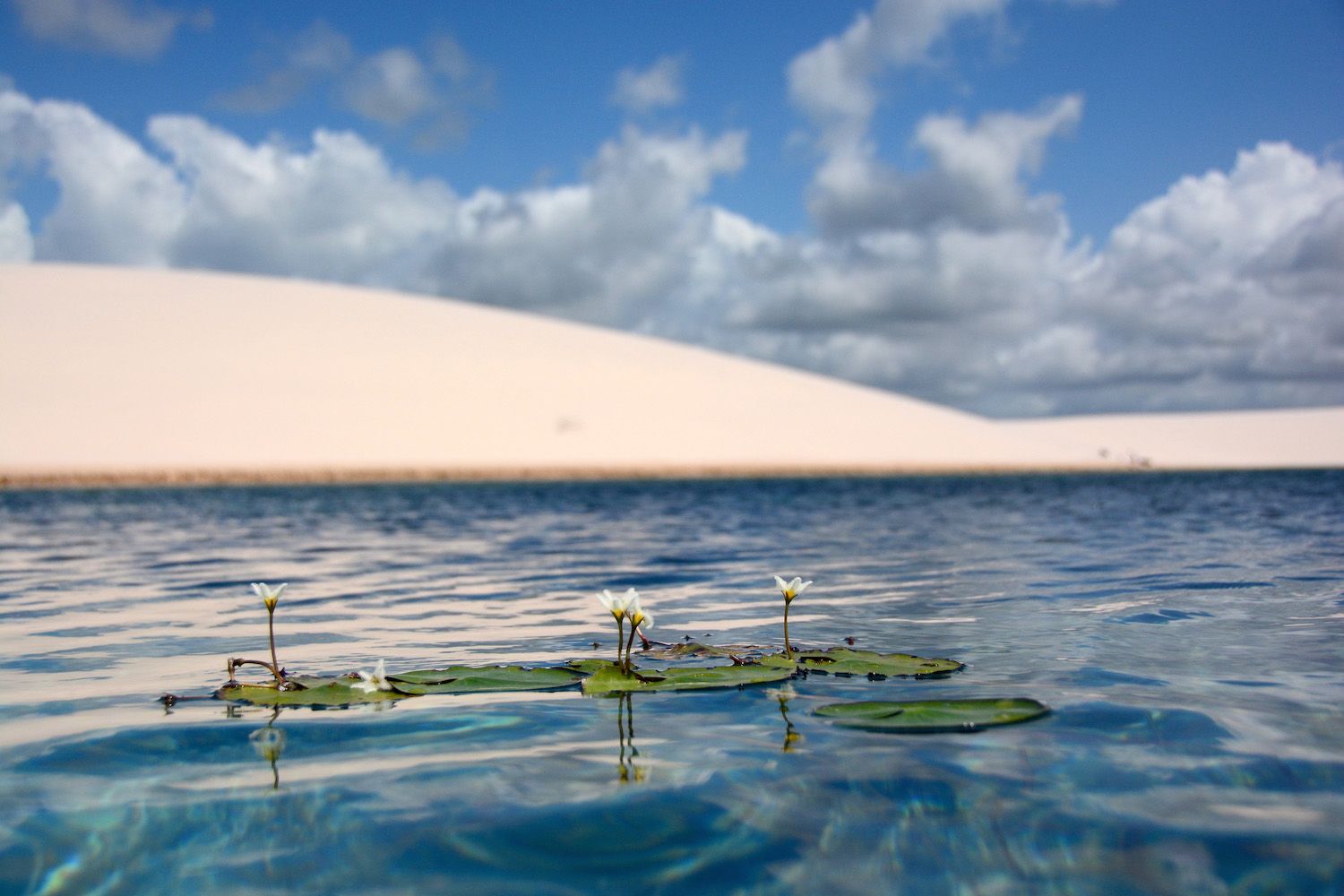 https://mdw-travel-data-us-east-1.s3.amazonaws.com/img/country/Brazil/Lencois-Maranhenses/img_02.jpg
