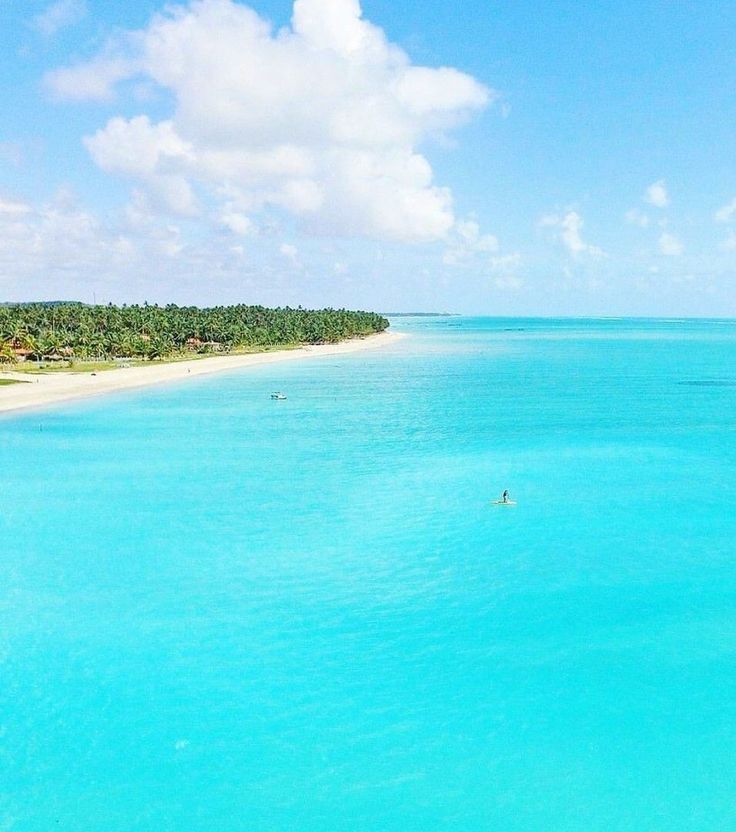 https://mdw-travel-data-us-east-1.s3.amazonaws.com/img/country/Brazil/Maragogi/img_01.jpg