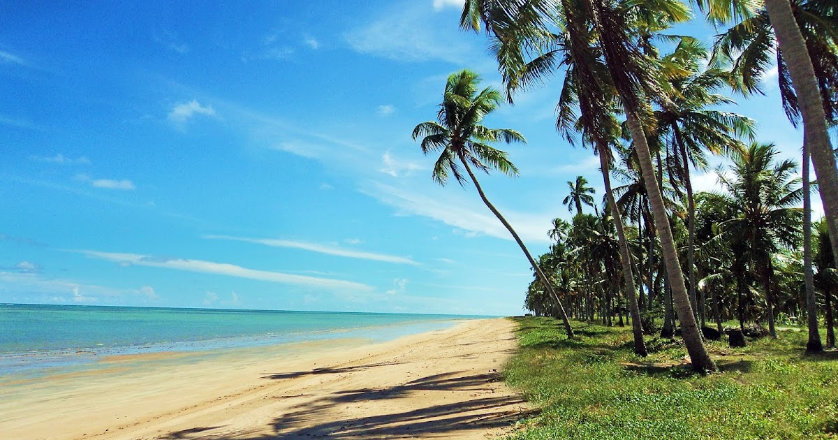 https://mdw-travel-data-us-east-1.s3.amazonaws.com/img/country/Brazil/Maragogi/img_02.jpg