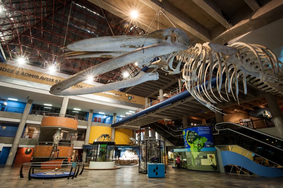 https://mdw-travel-data-us-east-1.s3.amazonaws.com/img/country/Brazil/Museu-de-Ciencias-e-Tecnologia-da-PUCRS/img_01.jpg