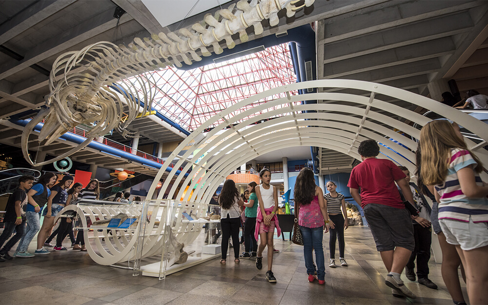 https://mdw-travel-data-us-east-1.s3.amazonaws.com/img/country/Brazil/Museu-de-Ciencias-e-Tecnologia-da-PUCRS/img_03.jpg