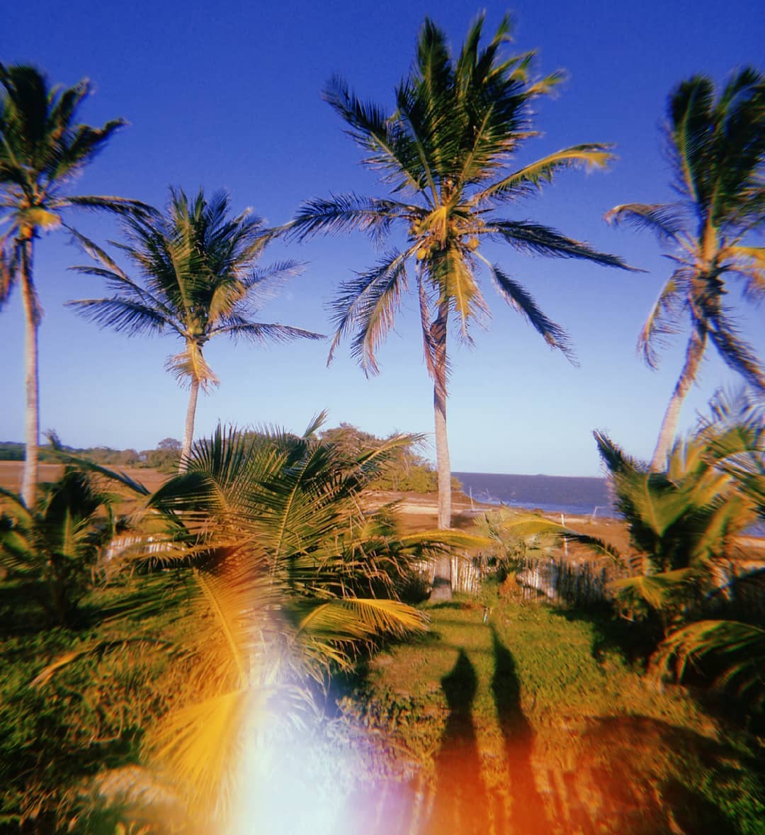 https://mdw-travel-data-us-east-1.s3.amazonaws.com/img/country/Brazil/Parnaiba-Delta/img_04.jpg