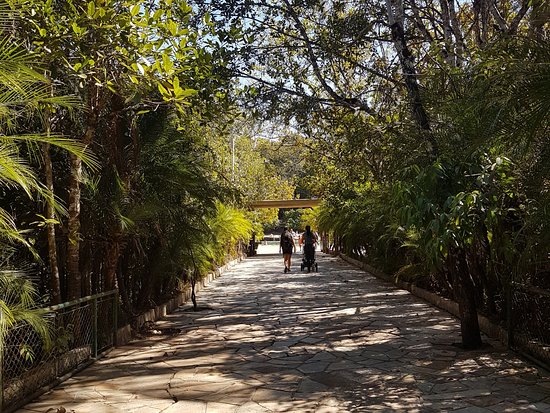 https://mdw-travel-data-us-east-1.s3.amazonaws.com/img/country/Brazil/Parque-Nacional-de-Brasilia/img_02.jpg