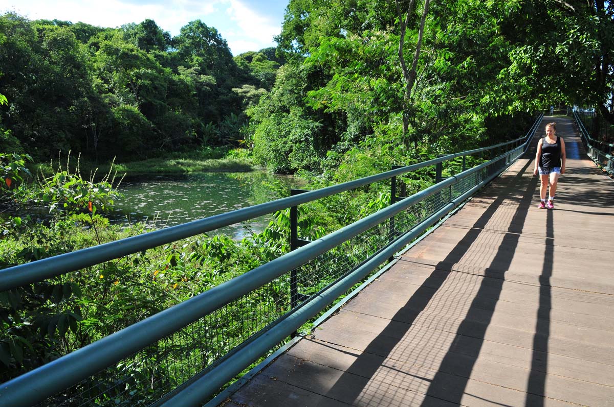 https://mdw-travel-data-us-east-1.s3.amazonaws.com/img/country/Brazil/Parque-Olhos-DAgua/img_03.jpg