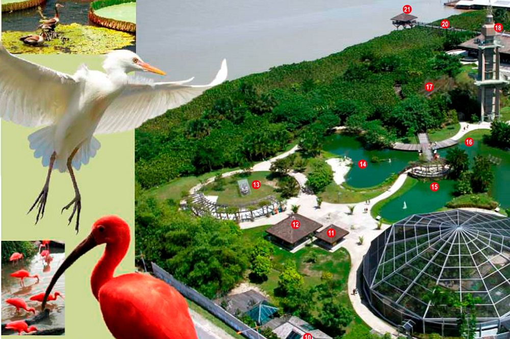 https://mdw-travel-data-us-east-1.s3.amazonaws.com/img/country/Brazil/Parque-Zoobotanico-Mangal-das-Garcas/img_03.jpg