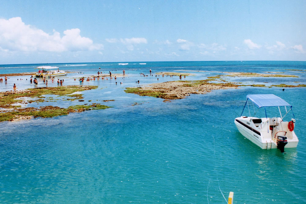 https://mdw-travel-data-us-east-1.s3.amazonaws.com/img/country/Brazil/Picaozinho/img_00.jpg