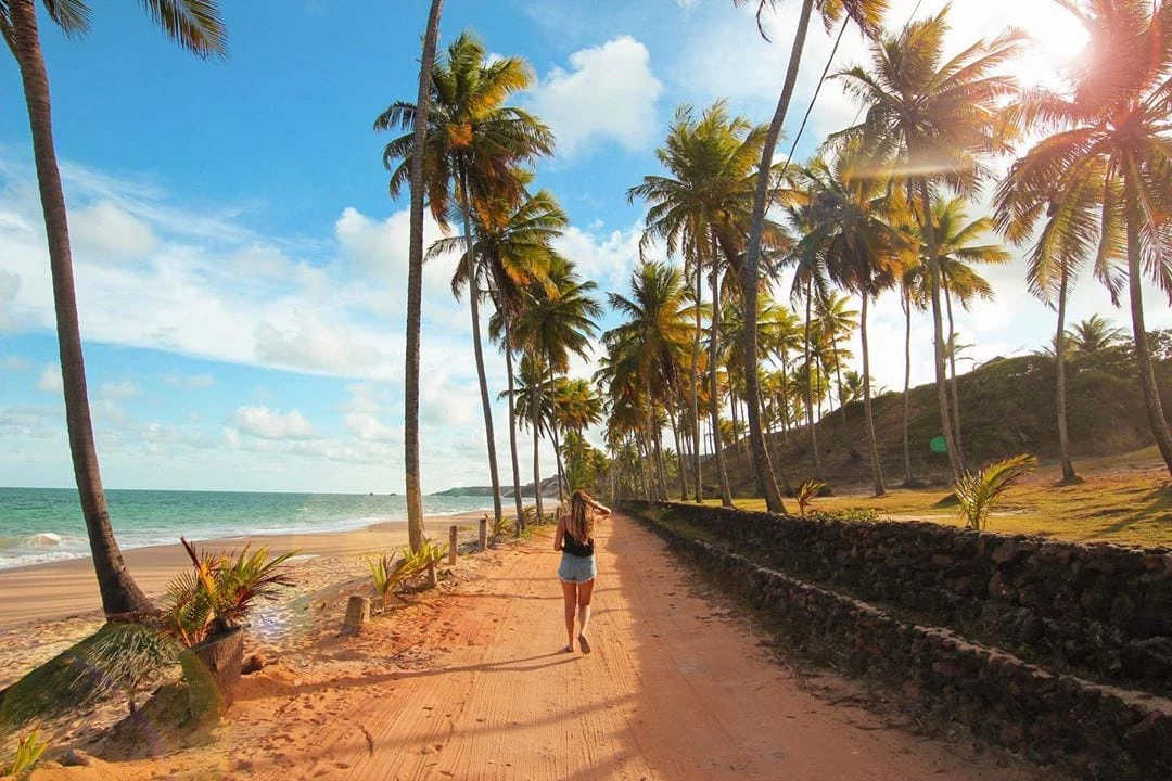 https://mdw-travel-data-us-east-1.s3.amazonaws.com/img/country/Brazil/Praia-do-Coqueirinho/img_02.jpg