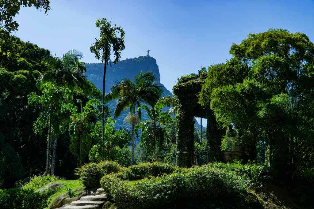 https://mdw-travel-data-us-east-1.s3.amazonaws.com/img/country/Brazil/Rio-de-Janeiro-Botanical-Garden/img_01.jpg
