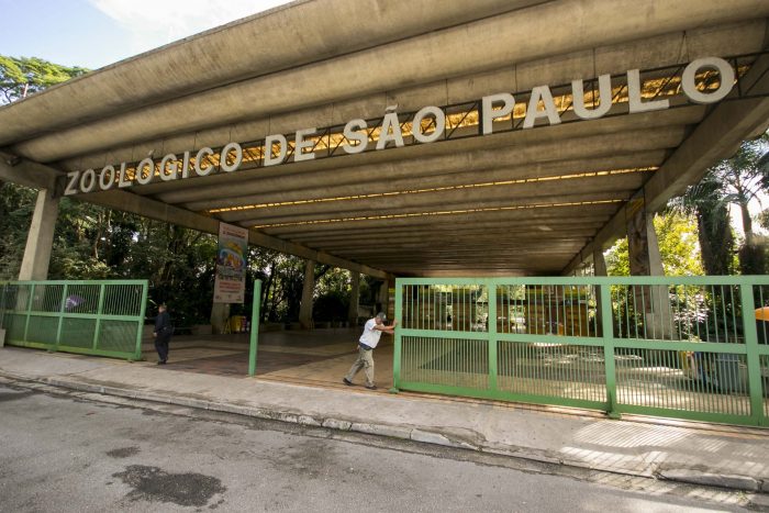 https://mdw-travel-data-us-east-1.s3.amazonaws.com/img/country/Brazil/Sao-Paulo-Zoo/img_03.jpg