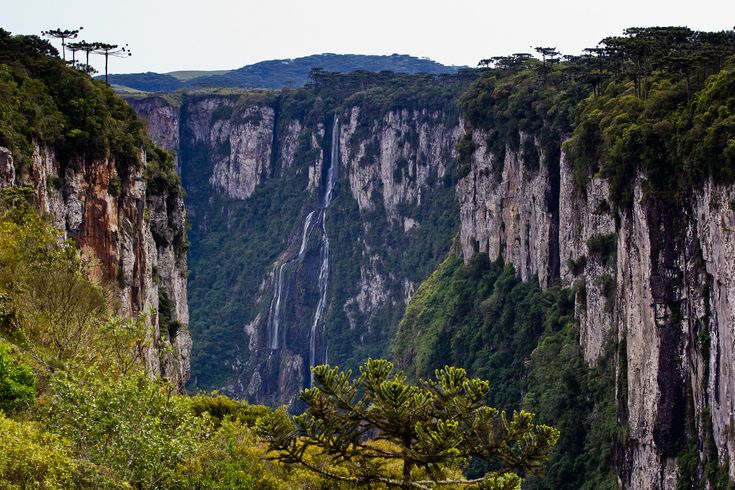 https://mdw-travel-data-us-east-1.s3.amazonaws.com/img/country/Brazil/Serra-Park/img_00.jpg
