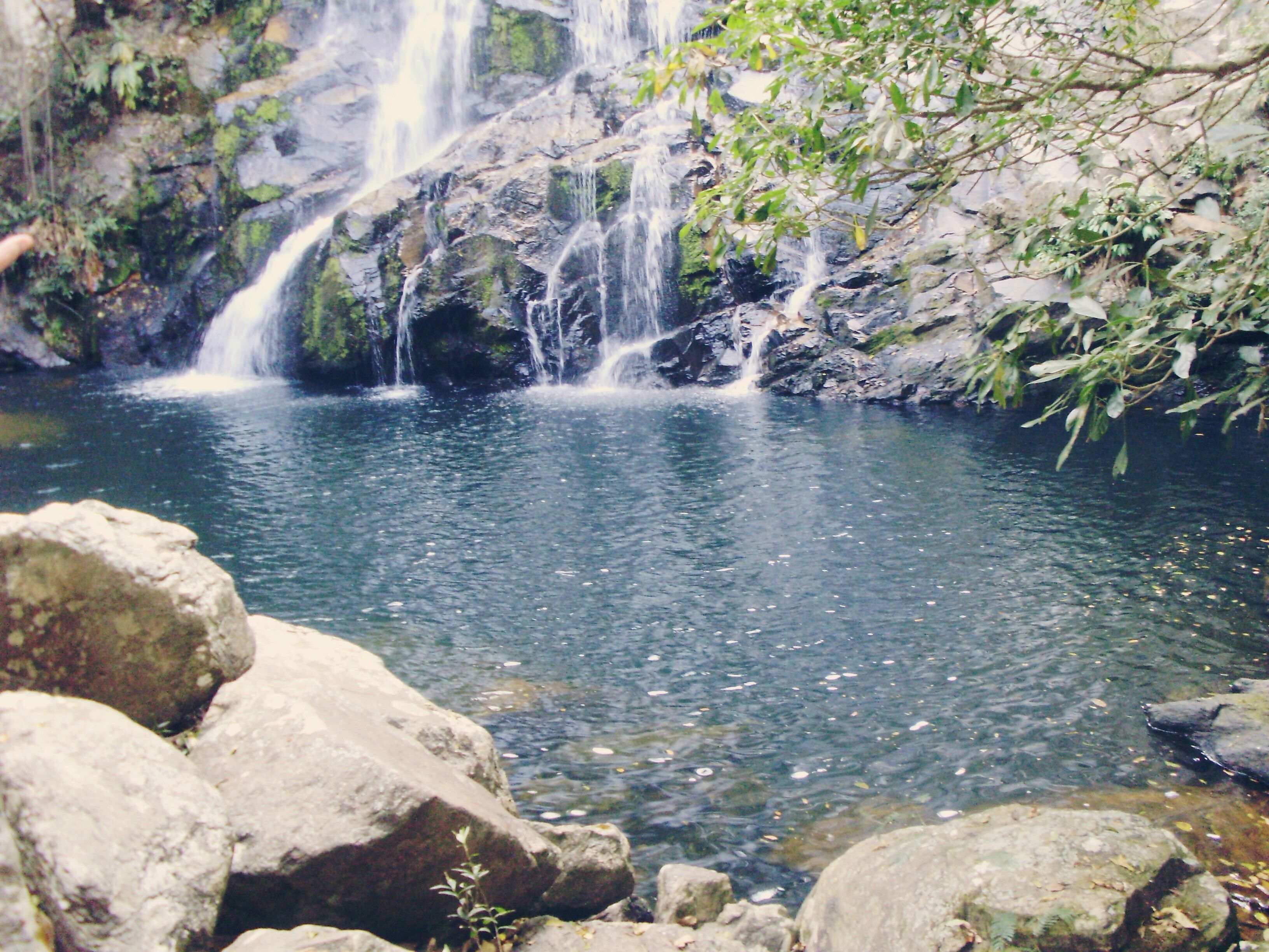 https://mdw-travel-data-us-east-1.s3.amazonaws.com/img/country/Brazil/Serra-da-Canastra-National-Park/img_02.jpg