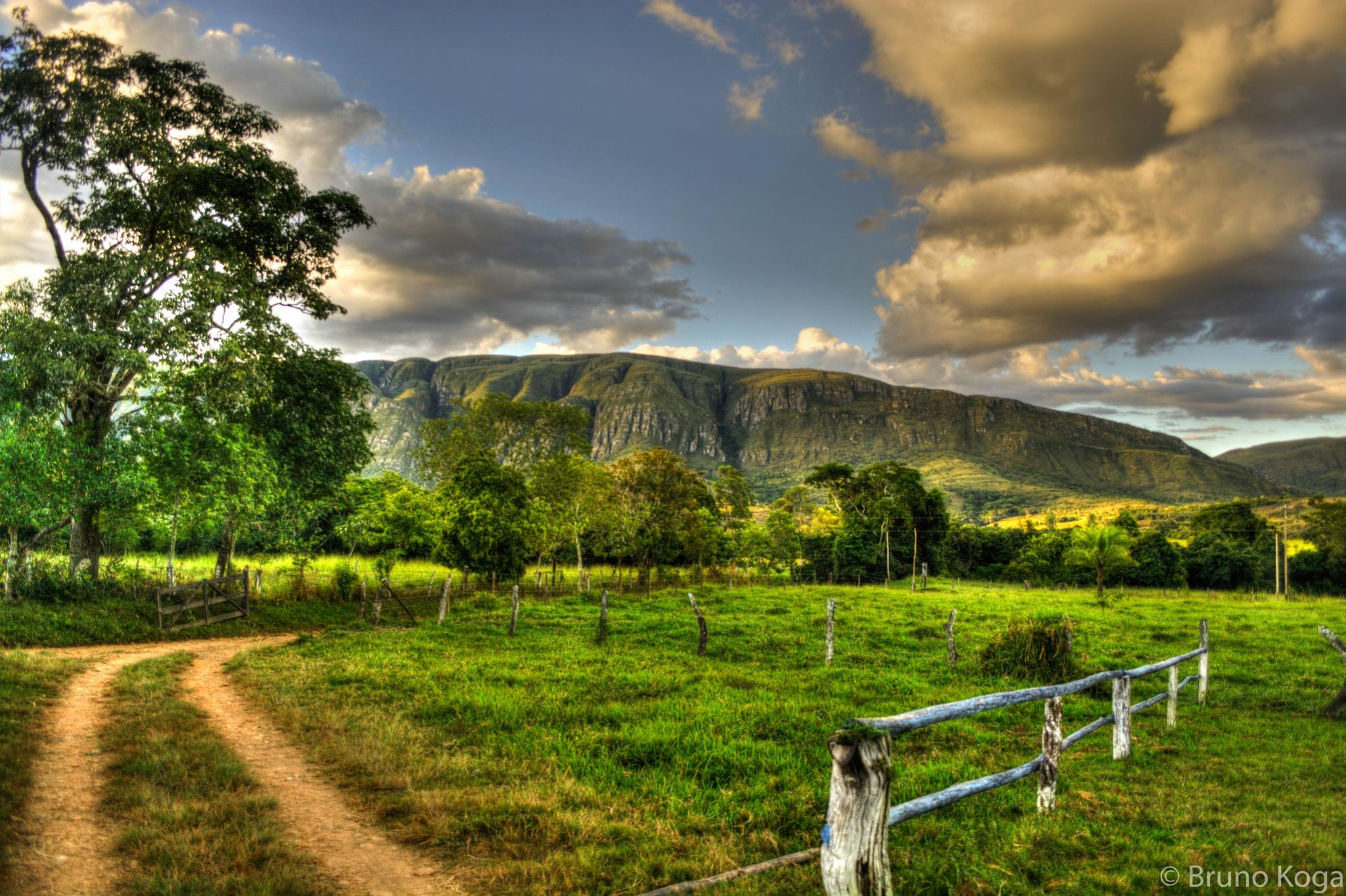 https://mdw-travel-data-us-east-1.s3.amazonaws.com/img/country/Brazil/Serra-da-Canastra-National-Park/img_03.jpg