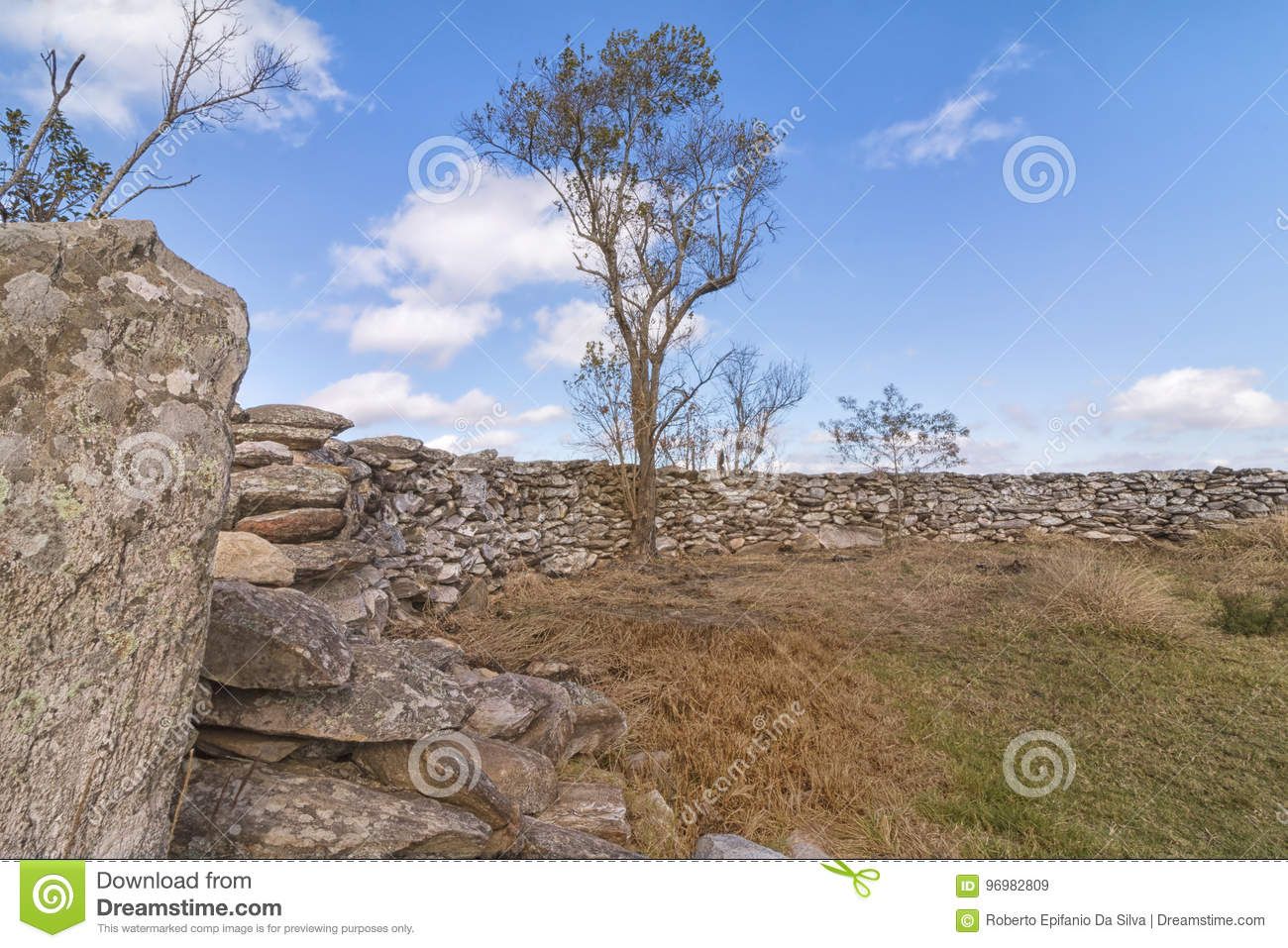https://mdw-travel-data-us-east-1.s3.amazonaws.com/img/country/Brazil/Serra-da-Canastra-National-Park/img_05.jpg
