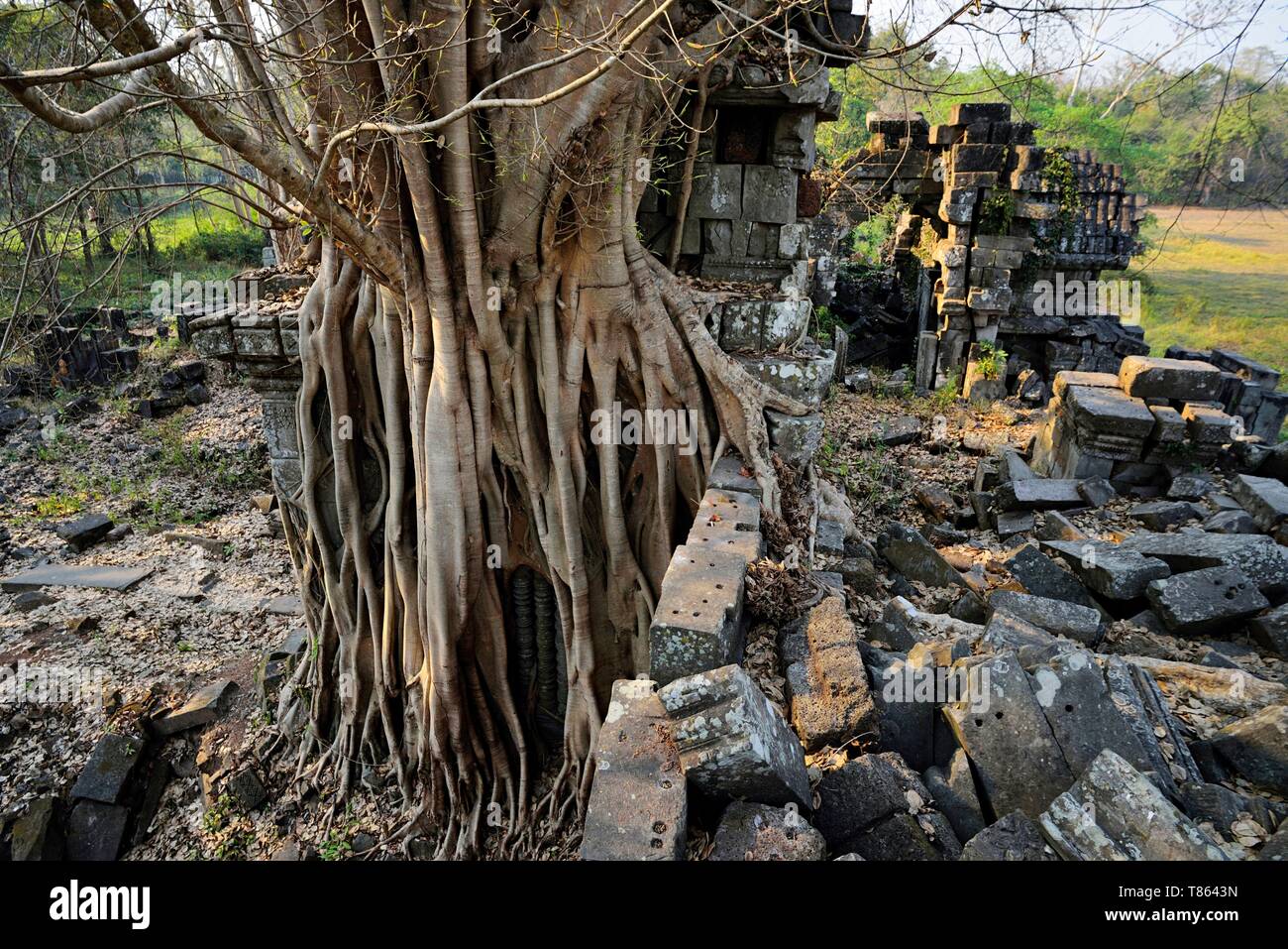 https://mdw-travel-data-us-east-1.s3.amazonaws.com/img/country/Cambodia/Bakan-or-Preah-Khan-Kampong-Svay/img_04.jpg