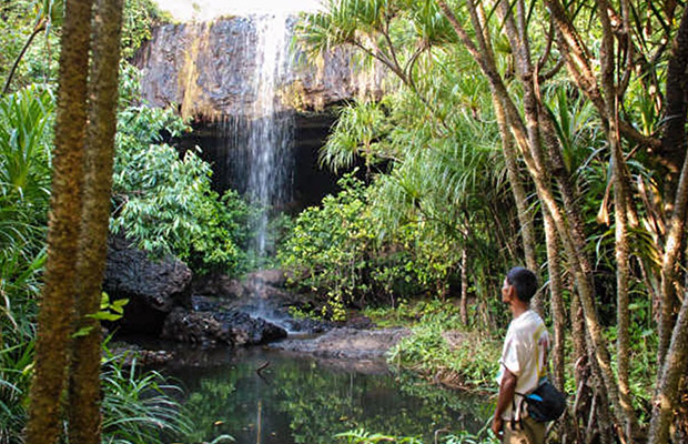 https://mdw-travel-data-us-east-1.s3.amazonaws.com/img/country/Cambodia/Botum-Sakor-National-Park/img_02.jpg
