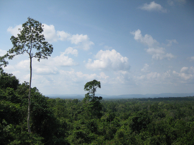 https://mdw-travel-data-us-east-1.s3.amazonaws.com/img/country/Cambodia/Botum-Sakor-National-Park/img_05.jpg