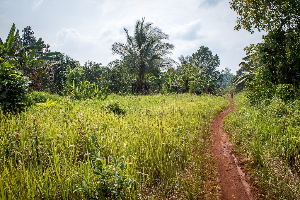 https://mdw-travel-data-us-east-1.s3.amazonaws.com/img/country/Cambodia/Chi-Phat-Eco-tourism-Village/img_04.jpg