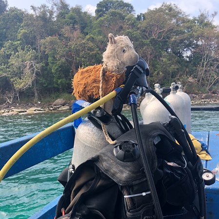 https://mdw-travel-data-us-east-1.s3.amazonaws.com/img/country/Cambodia/Dolphin-Bay-Divers-Koh-Rong-Sanloem/img_02.jpg
