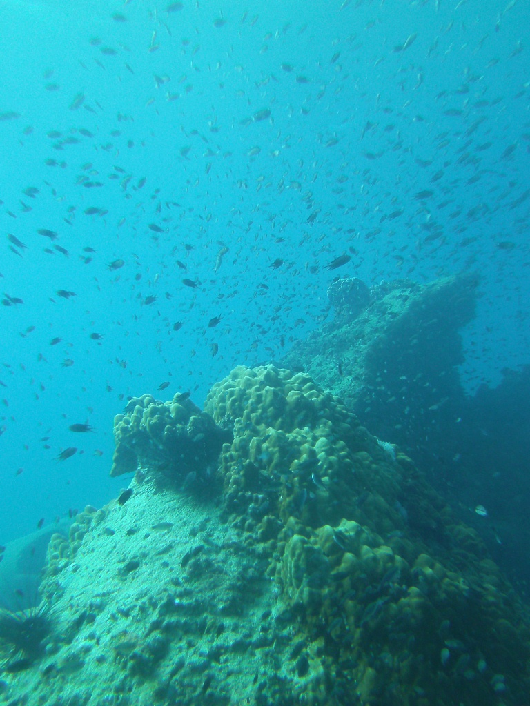 https://mdw-travel-data-us-east-1.s3.amazonaws.com/img/country/Cambodia/EcoSeaMantis-Dive-Center/img_05.jpg