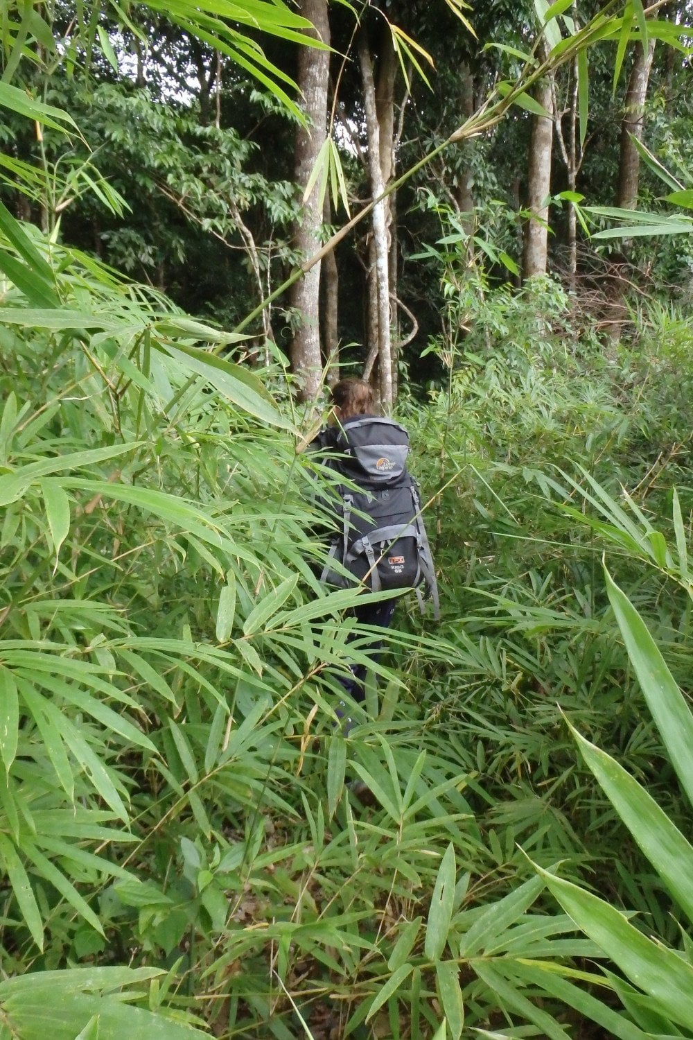 https://mdw-travel-data-us-east-1.s3.amazonaws.com/img/country/Cambodia/Hiking-and-Trekking/img_01.jpg