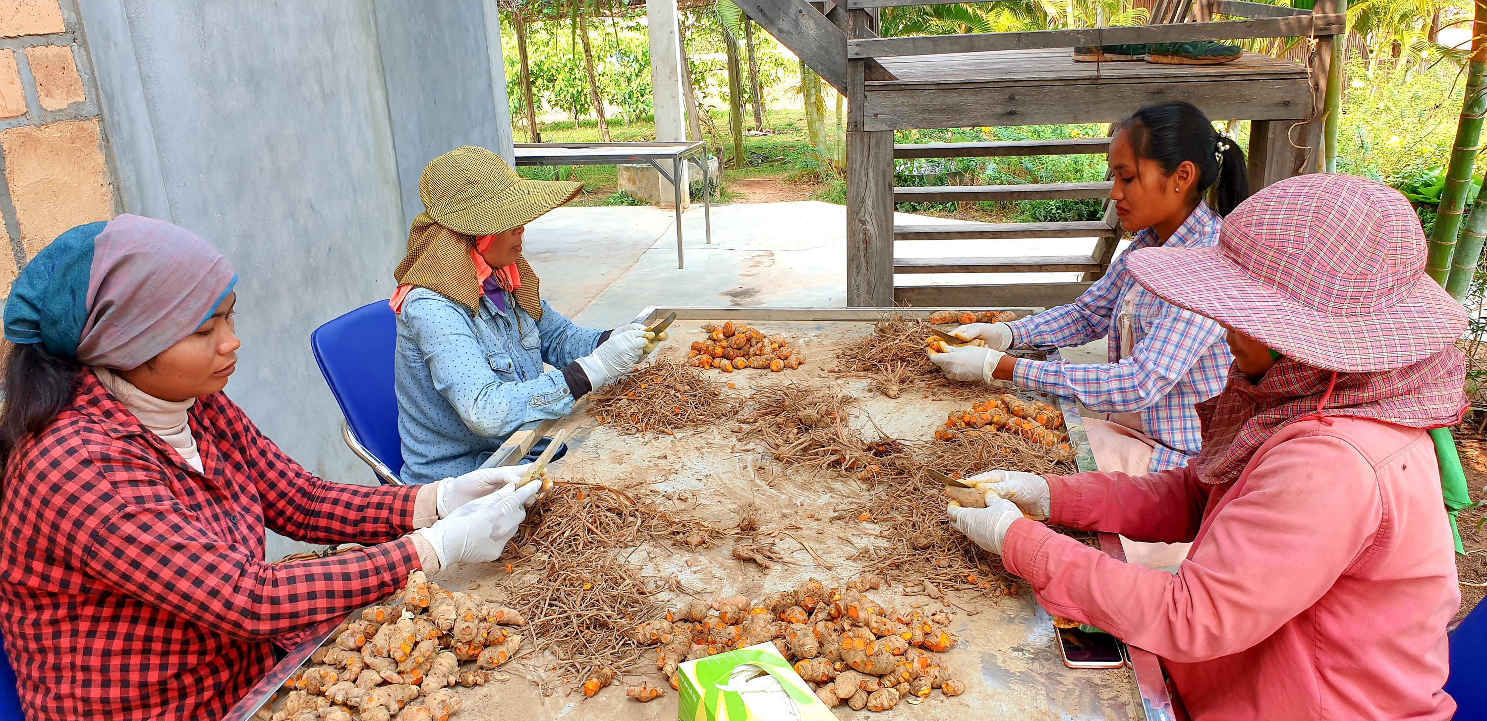 https://mdw-travel-data-us-east-1.s3.amazonaws.com/img/country/Cambodia/Kampot-Pepper-Plantations/img_01.jpg