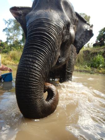 https://mdw-travel-data-us-east-1.s3.amazonaws.com/img/country/Cambodia/Kbal-Koh-Wildlife-Sanctuary/img_01.jpg