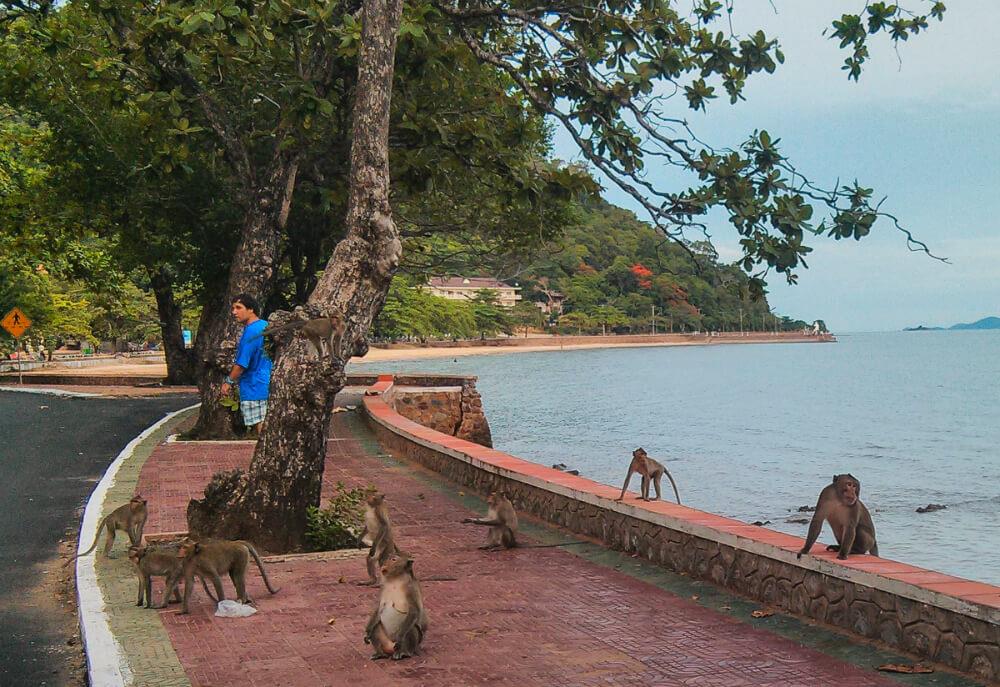 https://mdw-travel-data-us-east-1.s3.amazonaws.com/img/country/Cambodia/Kep-White-Sand-Beach/img_03.jpg