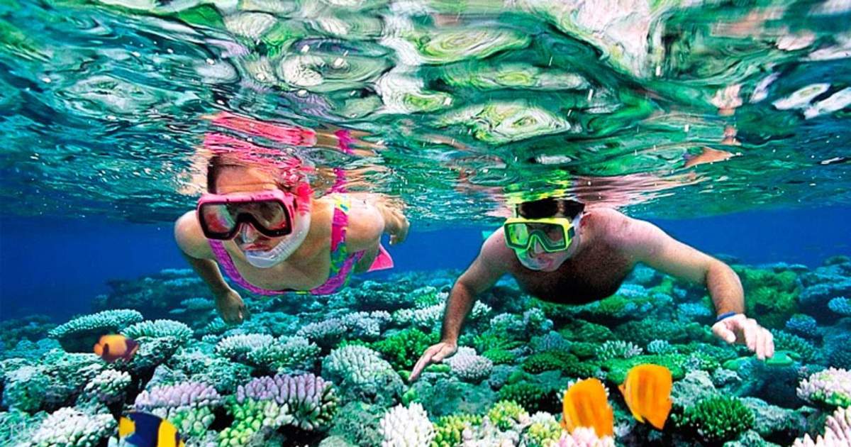 https://mdw-travel-data-us-east-1.s3.amazonaws.com/img/country/Cambodia/Koh-Rong-Snorkeling-Point/img_00.jpg