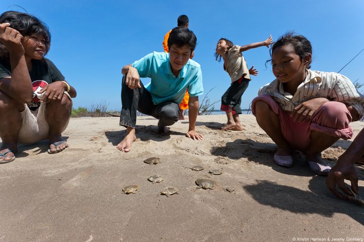 https://mdw-travel-data-us-east-1.s3.amazonaws.com/img/country/Cambodia/Mekong-Turtle-Conservation-Center/img_04.jpg